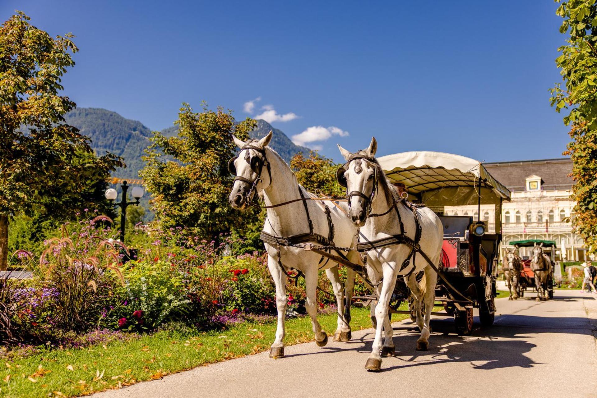 Jubilaeum Apartment Bad Ischl Ngoại thất bức ảnh